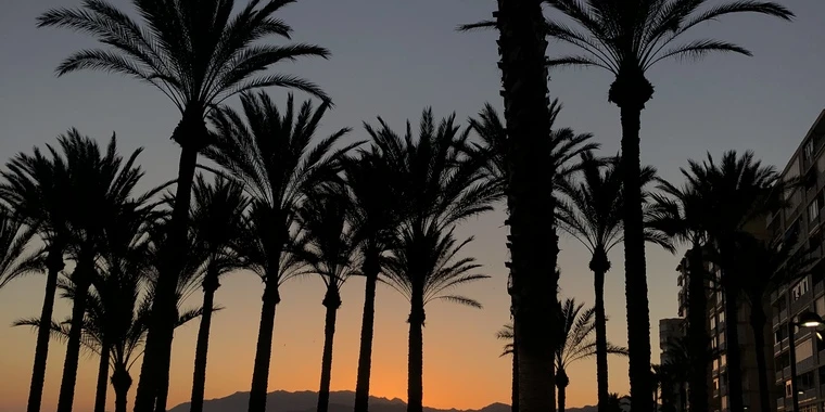 creator header picture