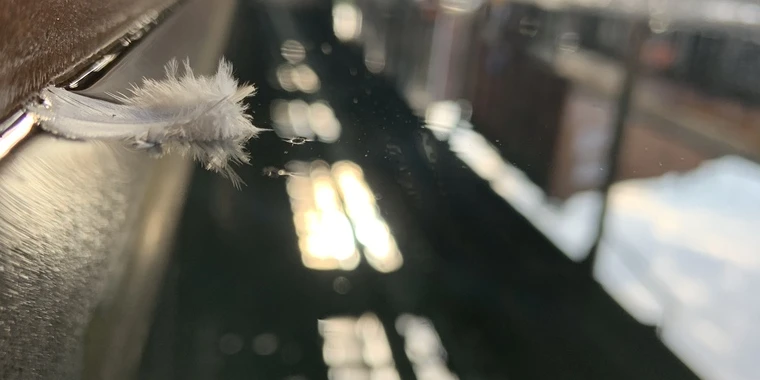 creator header picture