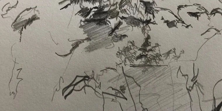 creator header picture