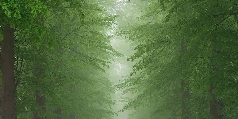 creator header picture