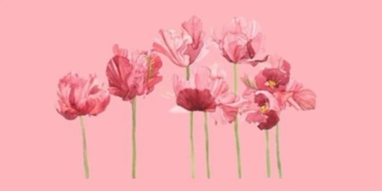 creator header picture