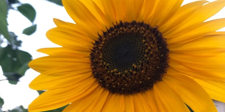 creator header picture