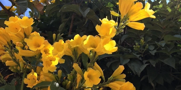 creator header picture