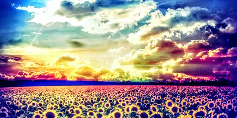 creator header picture