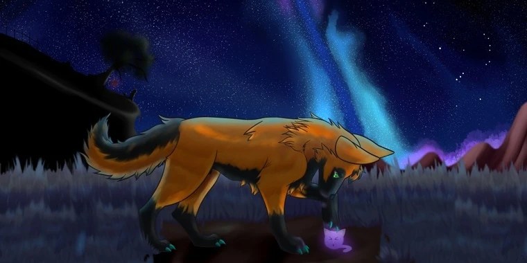 creator header picture