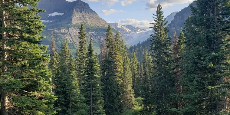 creator header picture