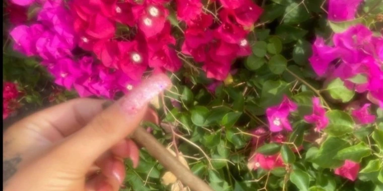creator header picture