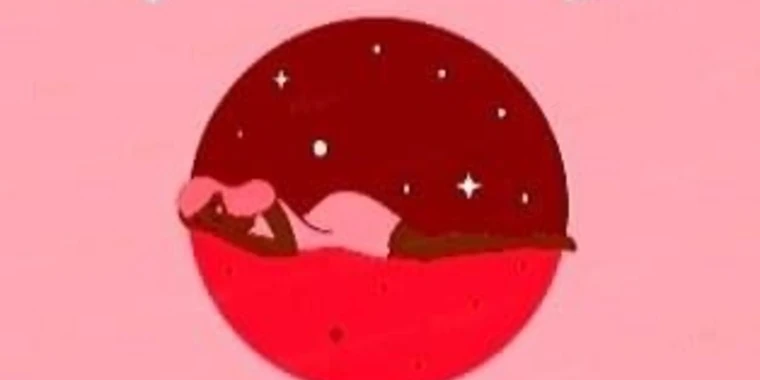 creator header picture