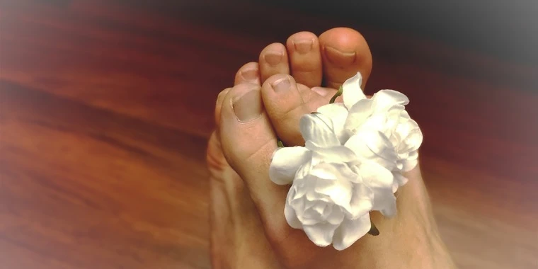 creator header picture