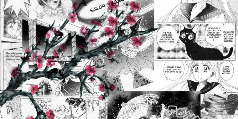 creator header picture