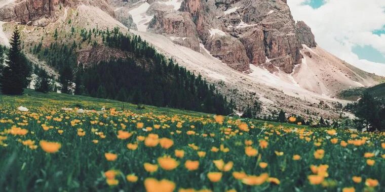 creator header picture