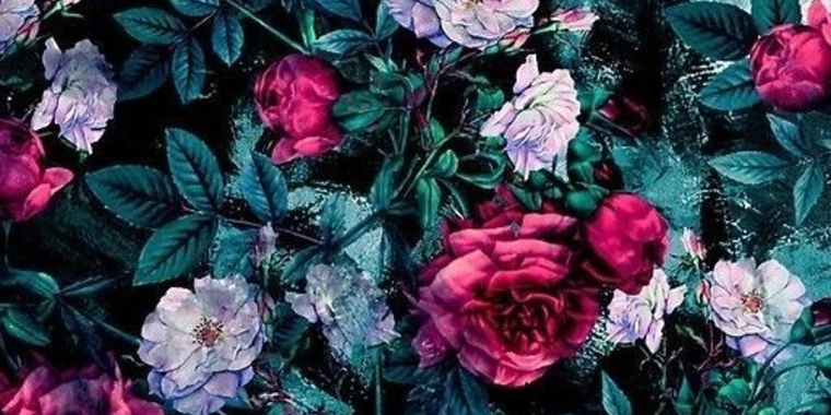 creator header picture