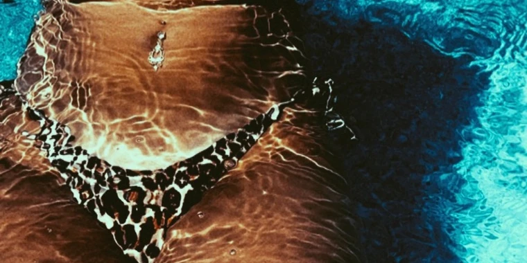 creator header picture