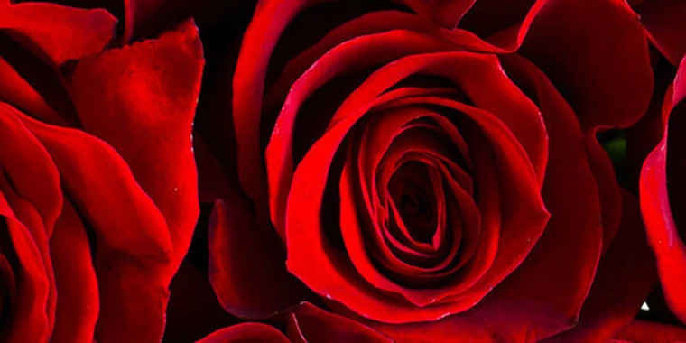 creator header picture