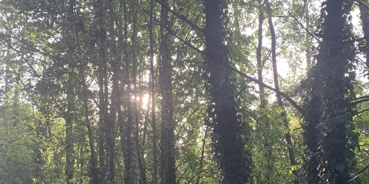 creator header picture