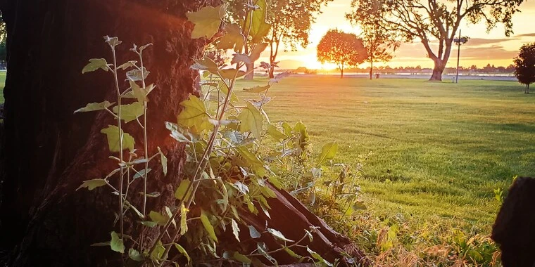 creator header picture
