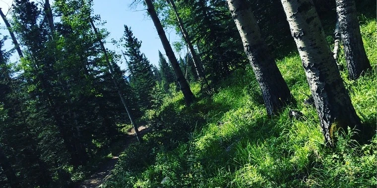 creator header picture