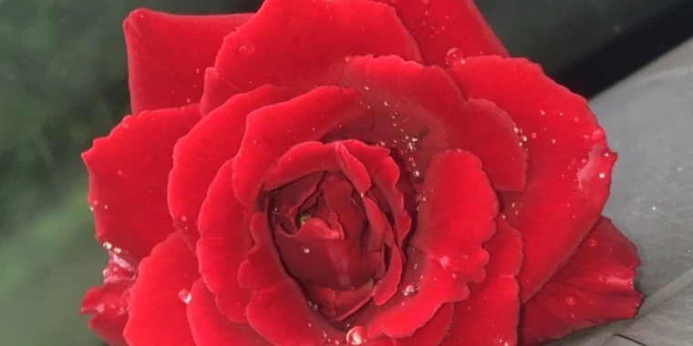 creator header picture