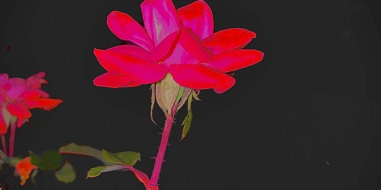 creator header picture