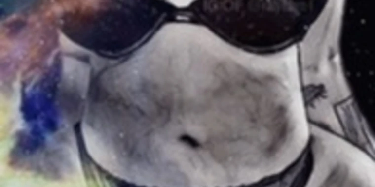creator header picture