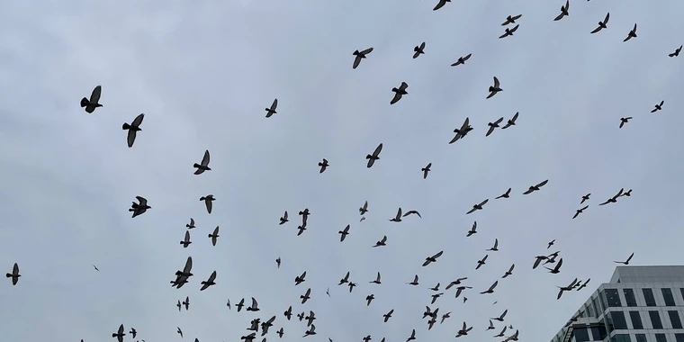 creator header picture