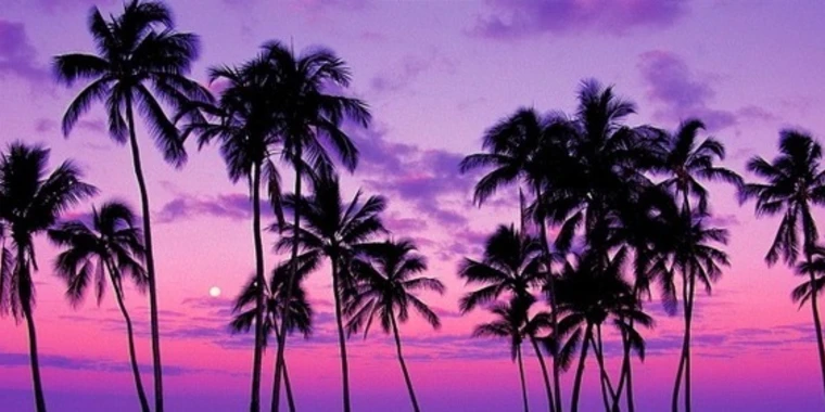 creator header picture