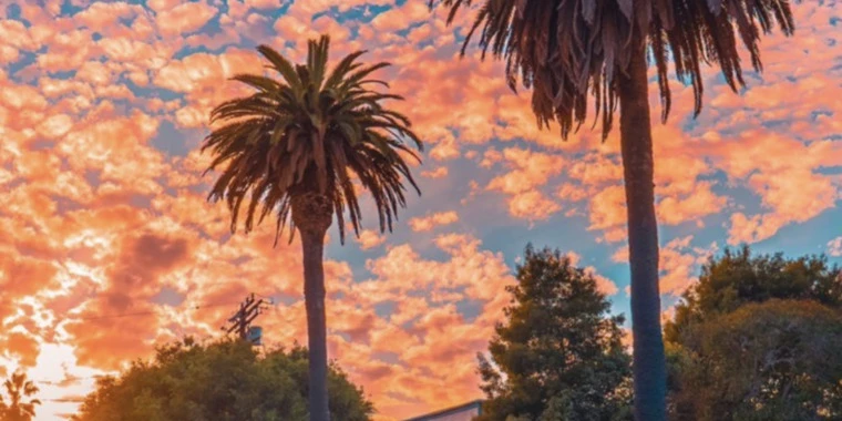 creator header picture