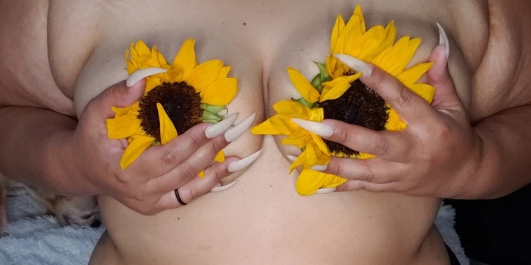 creator header picture