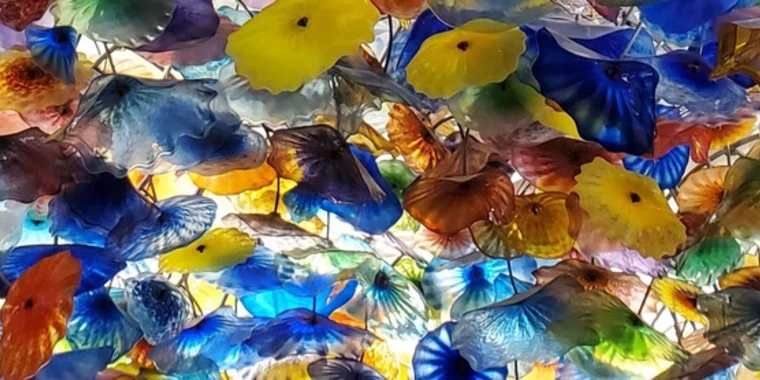 creator header picture