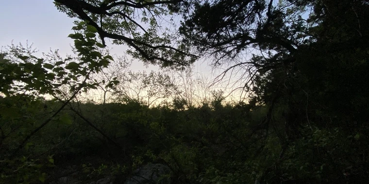 creator header picture