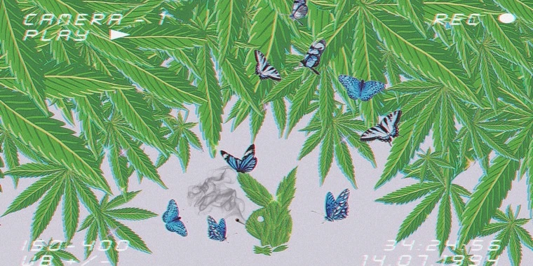 creator header picture