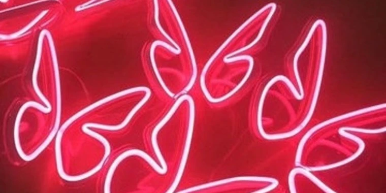 creator header picture