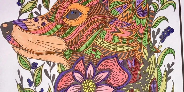 creator header picture