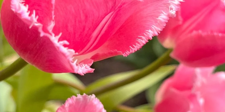 creator header picture