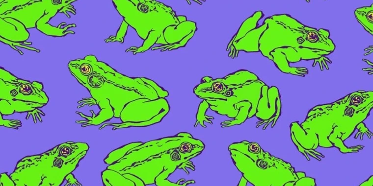 creator header picture