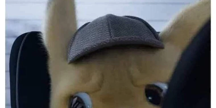 creator header picture