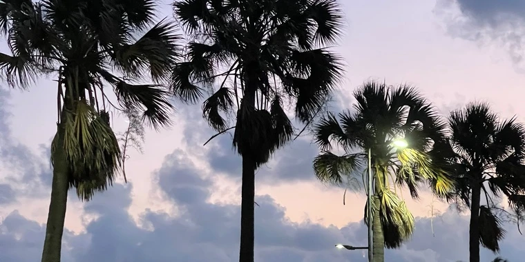 creator header picture
