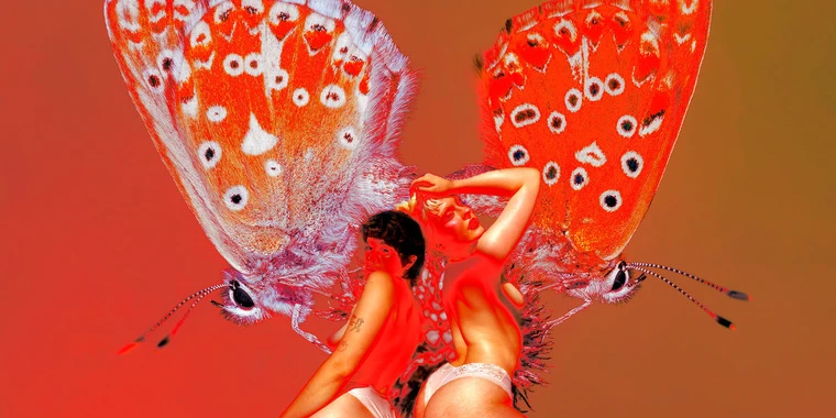 creator header picture
