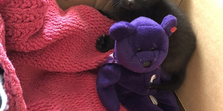 creator header picture