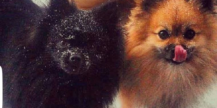 creator header picture
