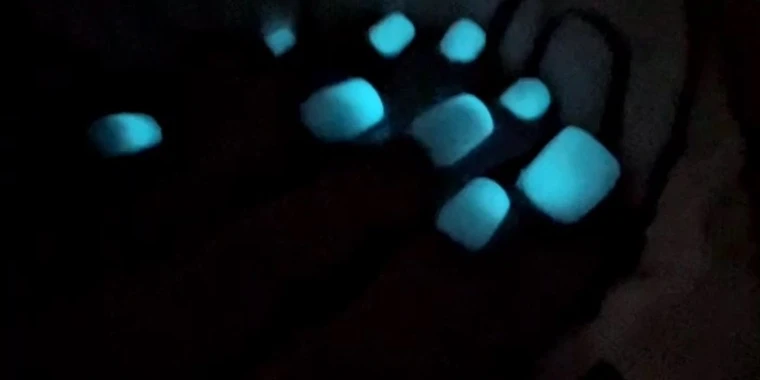 creator header picture