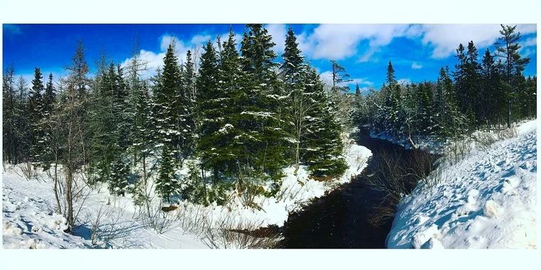 creator header picture