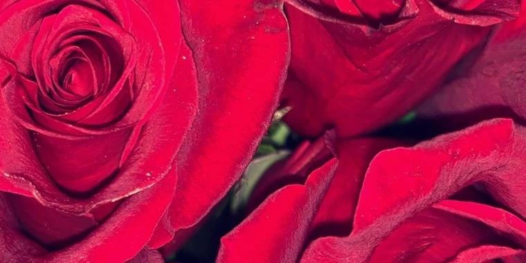 creator header picture