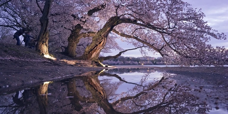 creator header picture