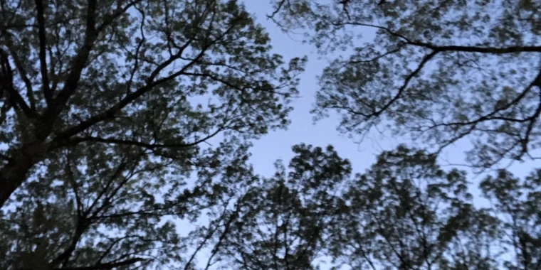 creator header picture
