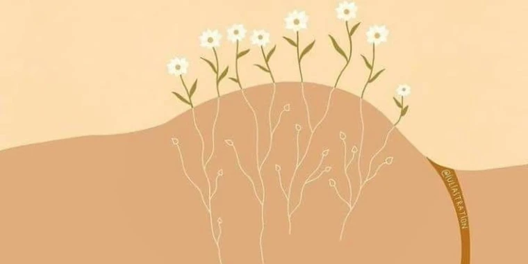 creator header picture