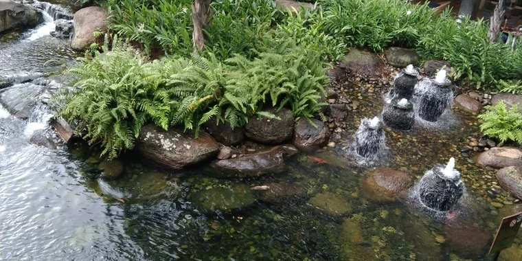 creator header picture