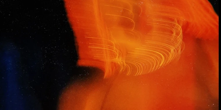 creator header picture