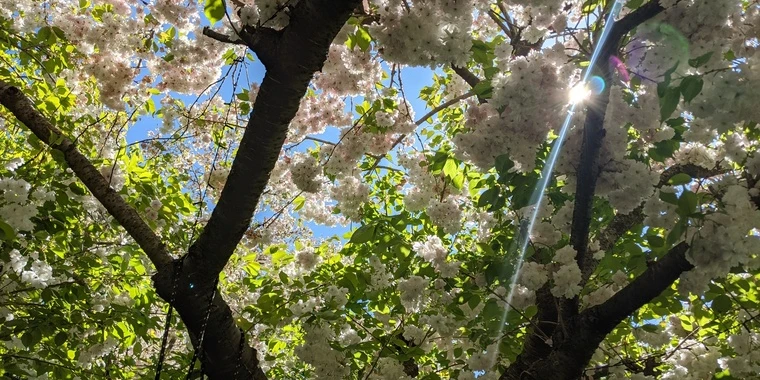 creator header picture