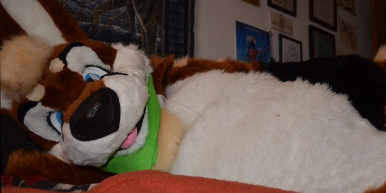 creator header picture